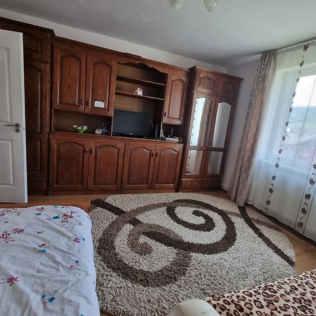 Garsoniera Emilia Apartment Câmpulung Moldovenesc Exterior foto