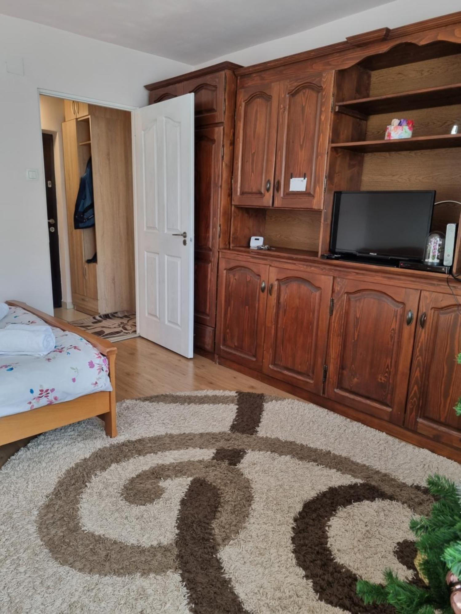 Garsoniera Emilia Apartment Câmpulung Moldovenesc Exterior foto